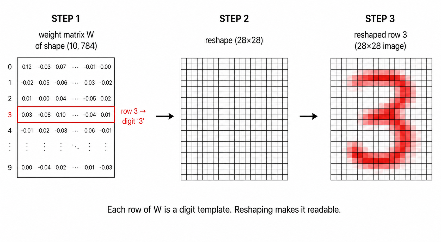 Three-step pipeline: weight matrix W of shape (10, 784) with row 3 highlighted; an arrow labelled "reshape (28×28)"; the reshaped row 3 rendered as a 28×28 image showing a fuzzy red template of the digit 3. Caption: each row of W is a digit template; reshaping makes it readable.
