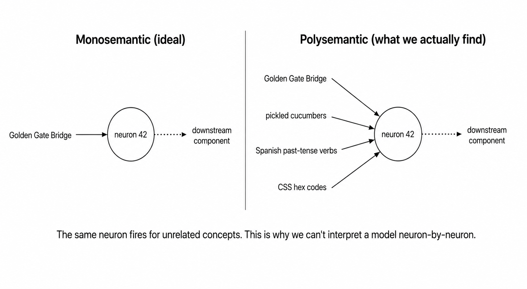 Monosemantic vs polysemantic neuron: on the left, a single 'Golden Gate Bridge' input feeds into neuron 42; on the right, four unrelated inputs (Golden Gate Bridge, pickled cucumbers, Spanish past-tense verbs, CSS hex codes) all feed into the same neuron 42.