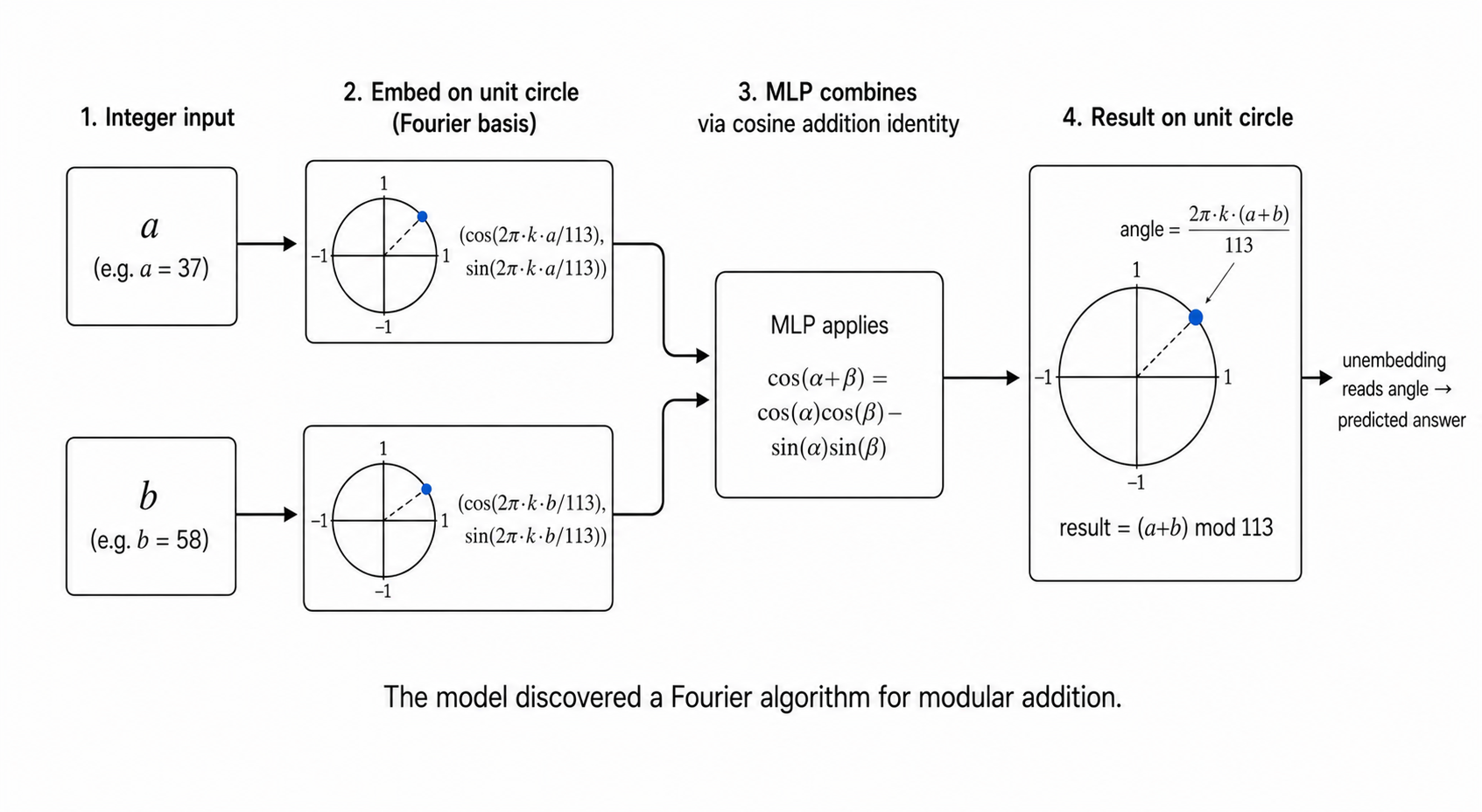 Four-step pipeline: (1) integer inputs a and b, (2) each embedded onto a unit circle at (cos(2π·k·x/113), sin(2π·k·x/113)) - the Fourier basis, (3) MLP combines them via cos(α+β) = cos(α)cos(β) − sin(α)sin(β), (4) result lands on the unit circle at angle 2π·k·(a+b)/113. Unembedding reads the angle to produce the predicted answer. Caption: the model discovered a Fourier algorithm for modular addition.