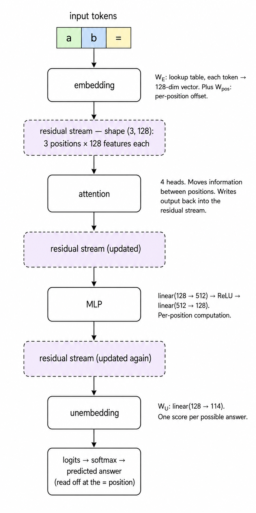 Vertical flow diagram of a transformer, read top to bottom. At the top, three coloured token squares labelled "a", "b", "=" captioned "input tokens". An arrow down to a rounded rectangle "embedding" with side-caption "W_E: lookup table, each token → 128-dim vector. Plus W_pos: per-position offset." Down to a dashed-border purple-tinted rectangle "residual stream — shape (3, 128): 3 positions × 128 features each". Down to a rounded "attention" rectangle (side-caption "4 heads. Moves information between positions. Writes output back into the residual stream."). Down to another dashed purple rectangle "residual stream (updated)". Down to "MLP" (side-caption "linear(128 → 512) → ReLU → linear(512 → 128). Per-position computation."). Down to "residual stream (updated again)". Down to "unembedding" (side-caption "W_U: linear(128 → 114). One score per possible answer."). Down to a final rounded rectangle "logits → softmax → predicted answer (read off at the = position)".