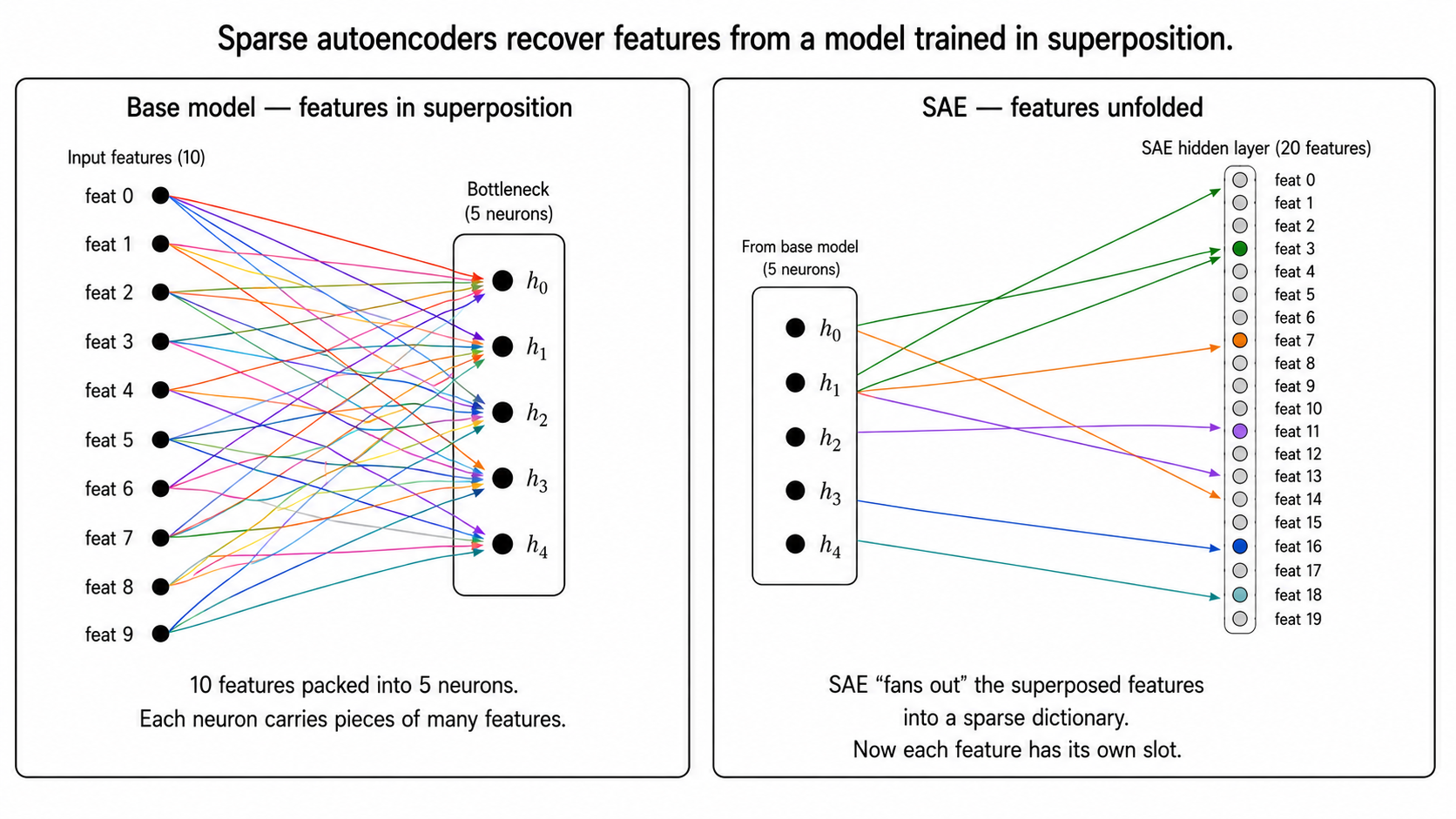 Two-panel diagram. Left: "Base model - features in superposition" - 10 input features collapse into a 5-neuron bottleneck via overlapping coloured arrows, visually crowded; caption: 10 features packed into 5 neurons, each neuron carries pieces of many features. Right: "SAE - features unfolded" - the same 5 neurons feed a 20-feature SAE hidden layer via clean, sparse connections; most SAE features are grey (inactive) with only 1-2 highlighted; caption: SAE fans out the superposed features into a sparse dictionary, now each feature has its own slot. Title: sparse autoencoders recover features from a model trained in superposition.